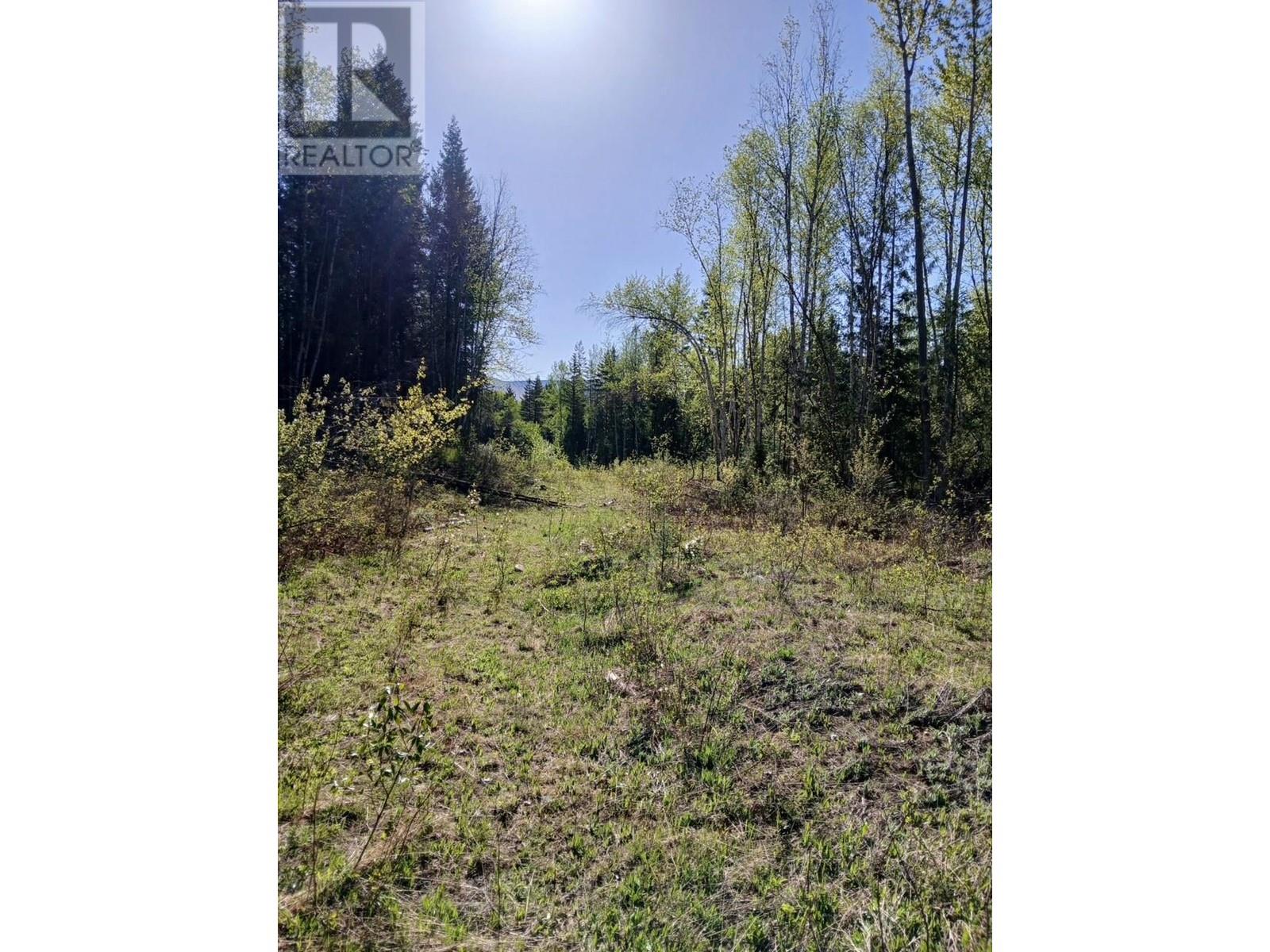Lot 2 Candle Creek Road, Clearwater, British Columbia  V0E 1N1 - Photo 47 - 10347263