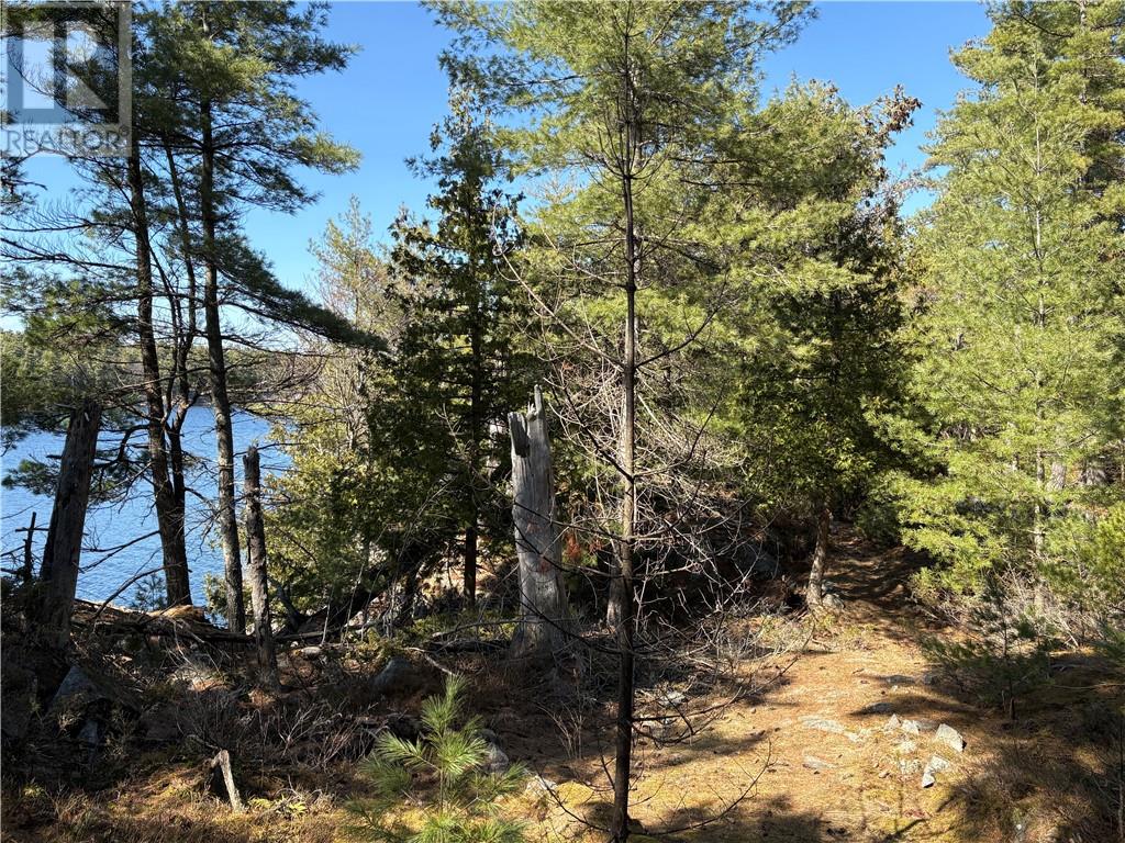 Tp1401 Mcgregor Bay, Mcgregor Bay, Ontario  P0M 2A0 - Photo 16 - 2122185