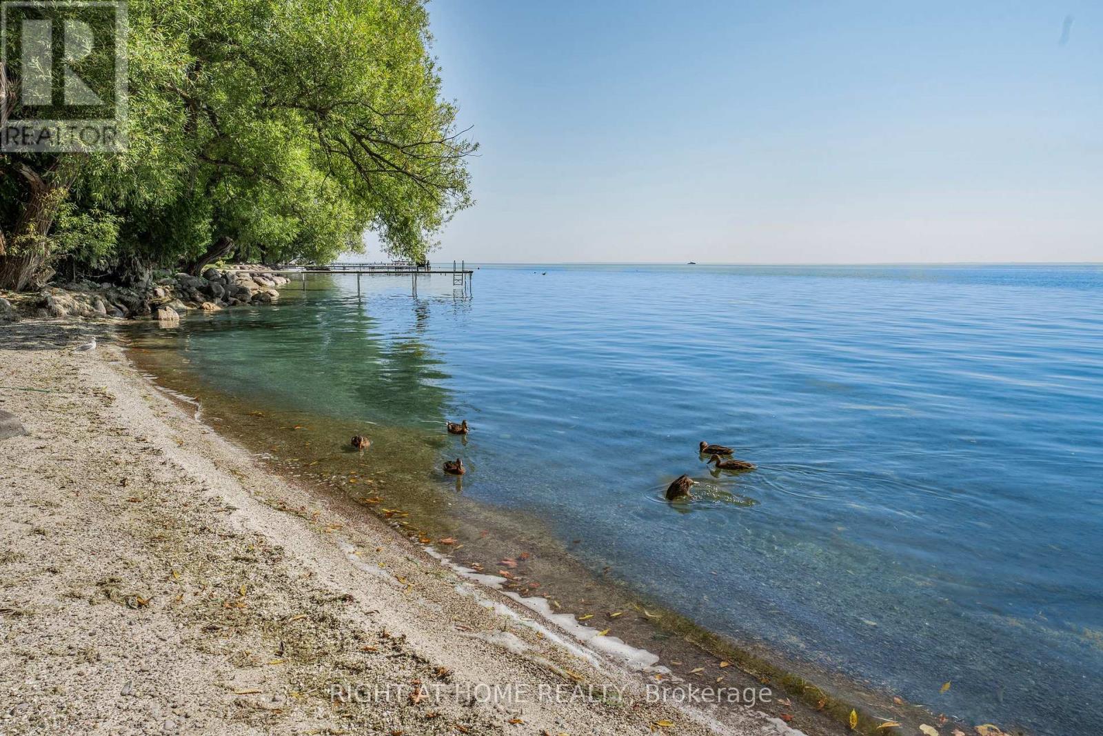 113 Minnetonka Road, Innisfil, Ontario  L9S 2V8 - Photo 40 - N12122791