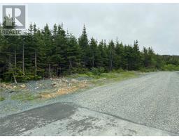 55 Robin's Pond Hill Road, Torbay, Newfoundland & Labrador
