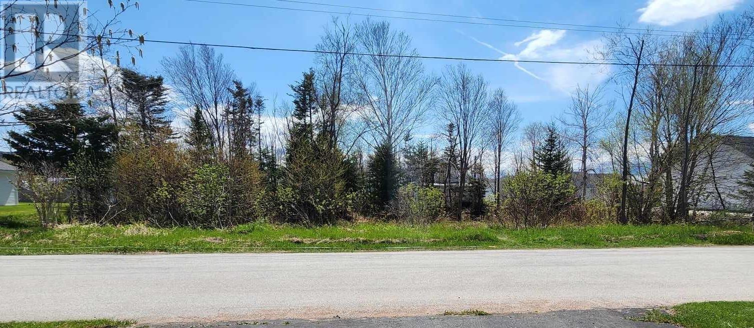 12B Jeddores Lane, Deer Lake, Newfoundland & Labrador