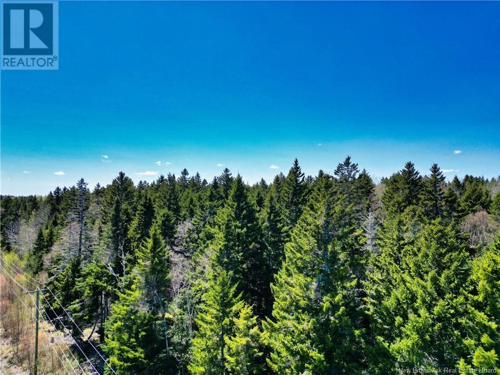 85-197 & 85-198 Harbour Heights Drive, Welshpool, New Brunswick  E5E 1H6 - Photo 4 - NB118206