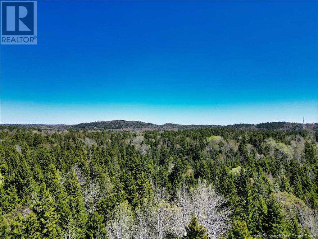 85-197 & 85-198 Harbour Heights Drive, Welshpool, New Brunswick  E5E 1H6 - Photo 5 - NB118206