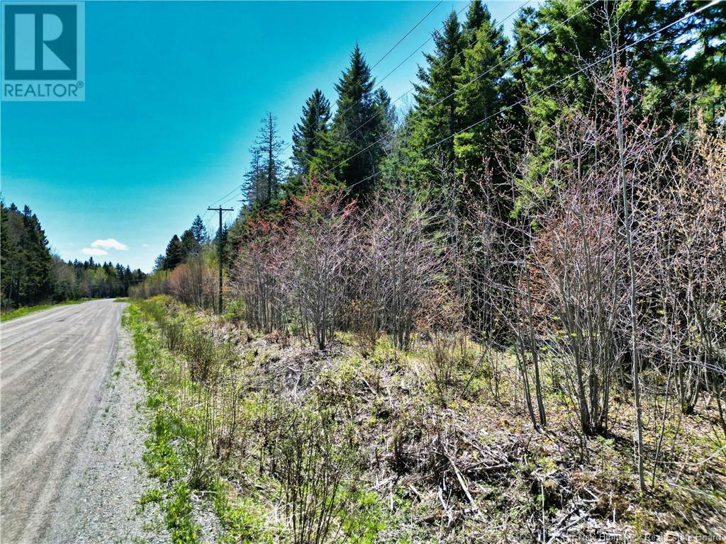 85-197 & 85-198 Harbour Heights Drive, Welshpool, New Brunswick  E5E 1H6 - Photo 6 - NB118206