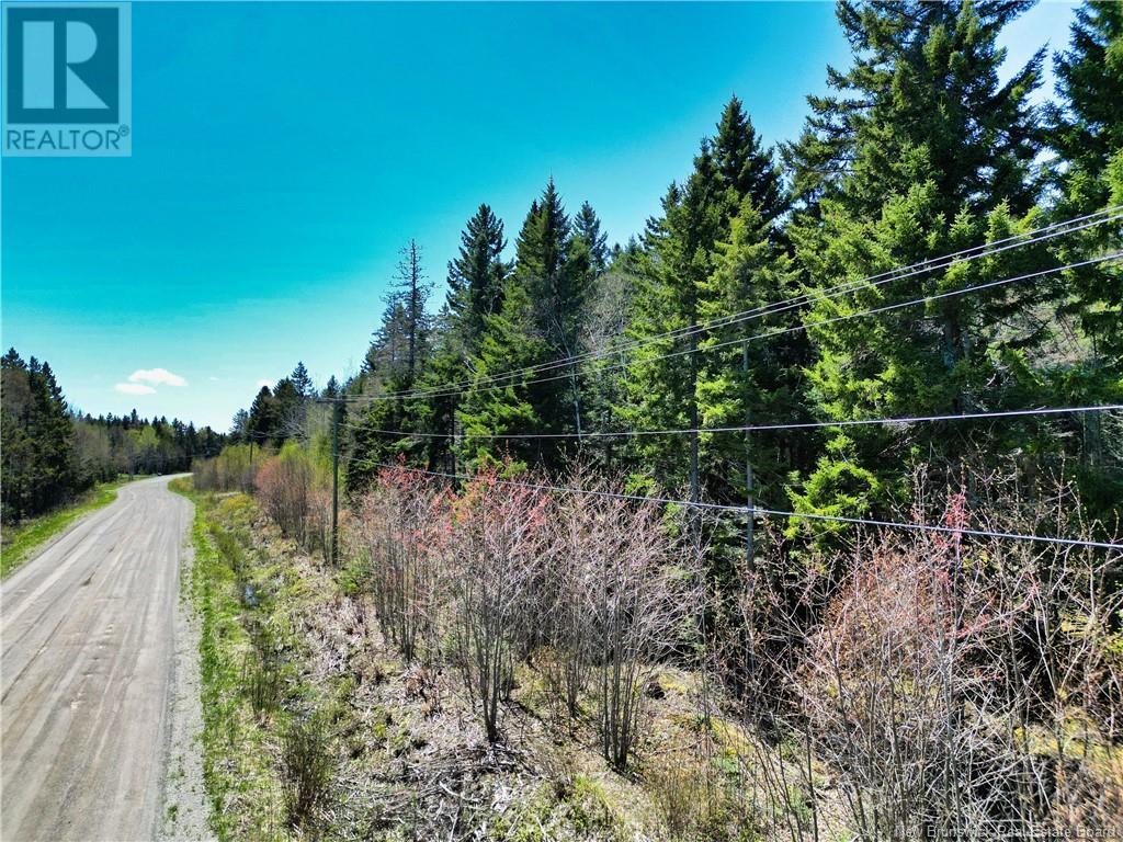 85-197 & 85-198 Harbour Heights Drive, Welshpool, New Brunswick  E5E 1H6 - Photo 7 - NB118206