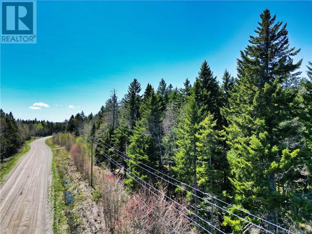 85-197 & 85-198 Harbour Heights Drive, Welshpool, New Brunswick  E5E 1H6 - Photo 8 - NB118206