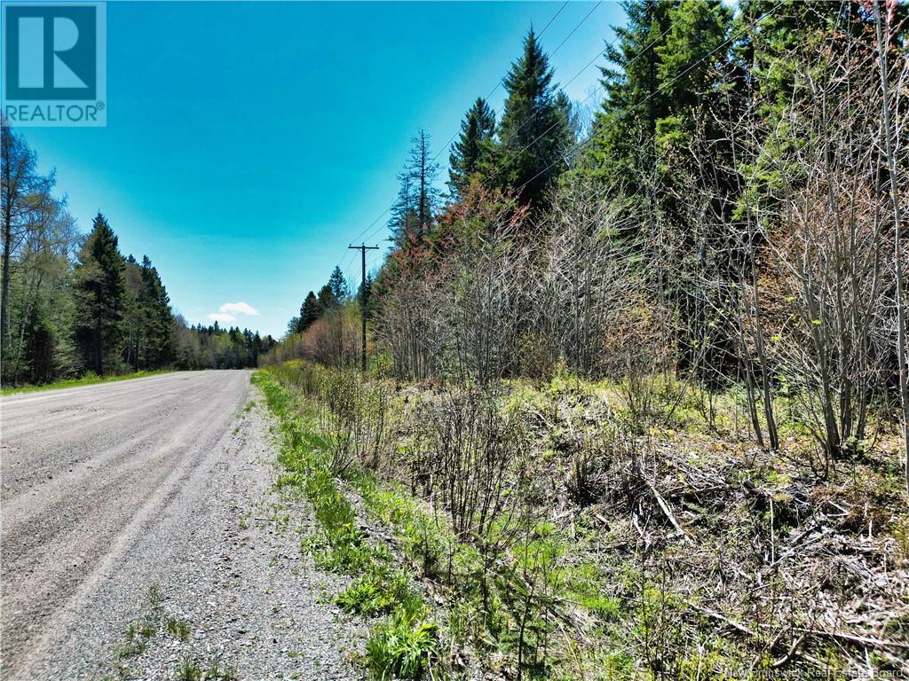 85-197 & 85-198 Harbour Heights Drive, Welshpool, New Brunswick  E5E 1H6 - Photo 9 - NB118206