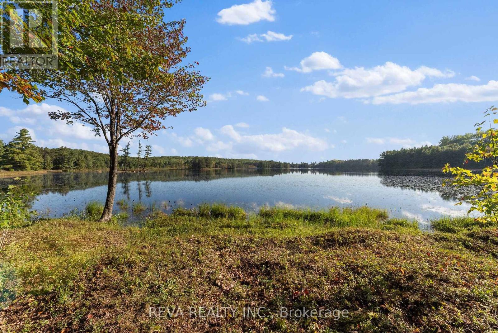 368 Addington Road, Addington Highlands, Ontario  K0H 1K0 - Photo 30 - X9382740