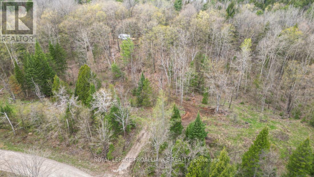 2060 Smith Road, North Frontenac, Ontario K0H 1C0 - Photo 23 - X12122276