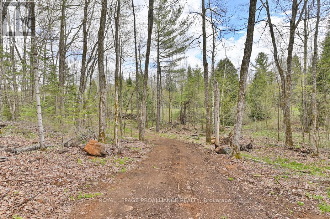 2060 Smith Road, North Frontenac, Ontario  K0H 1C0 - Photo 16 - X12122276