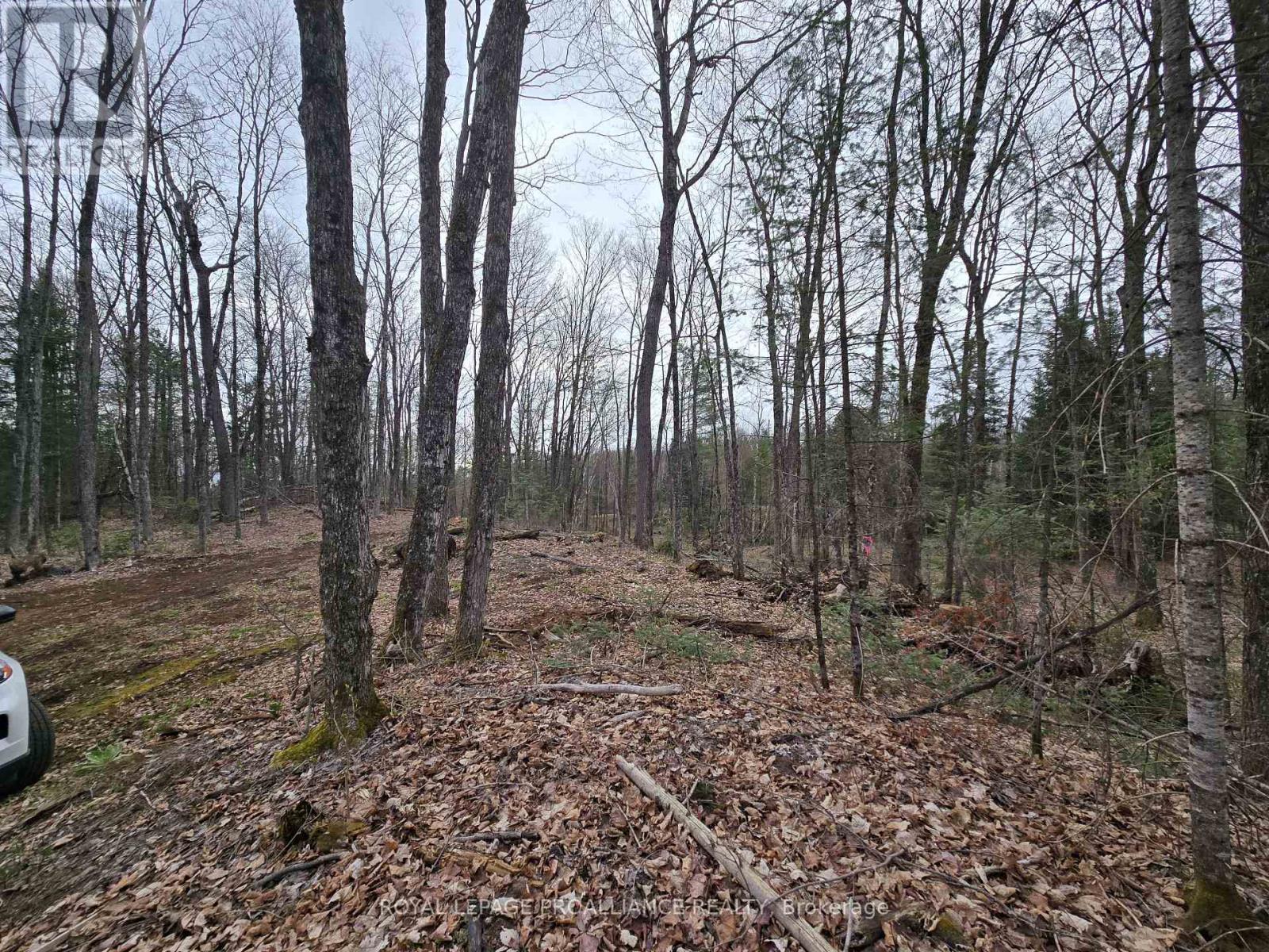 2060 Smith Road, North Frontenac, Ontario  K0H 1C0 - Photo 19 - X12122276