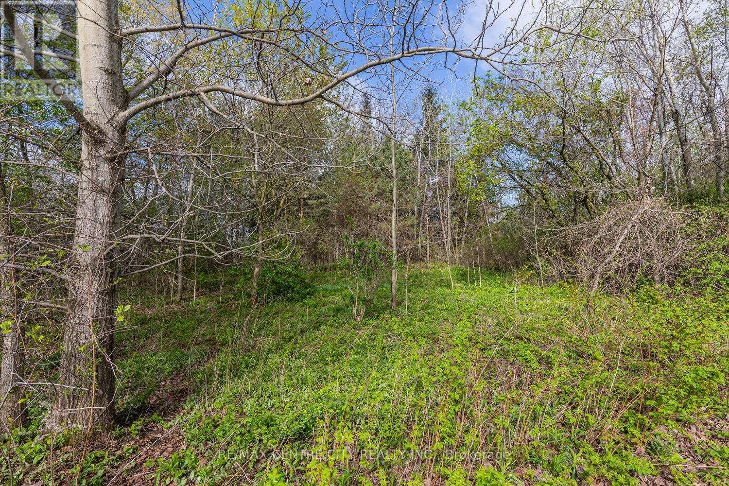 20938 Cherry Hill Road, Thames Centre, Ontario  N0M 2M0 - Photo 13 - X12140840