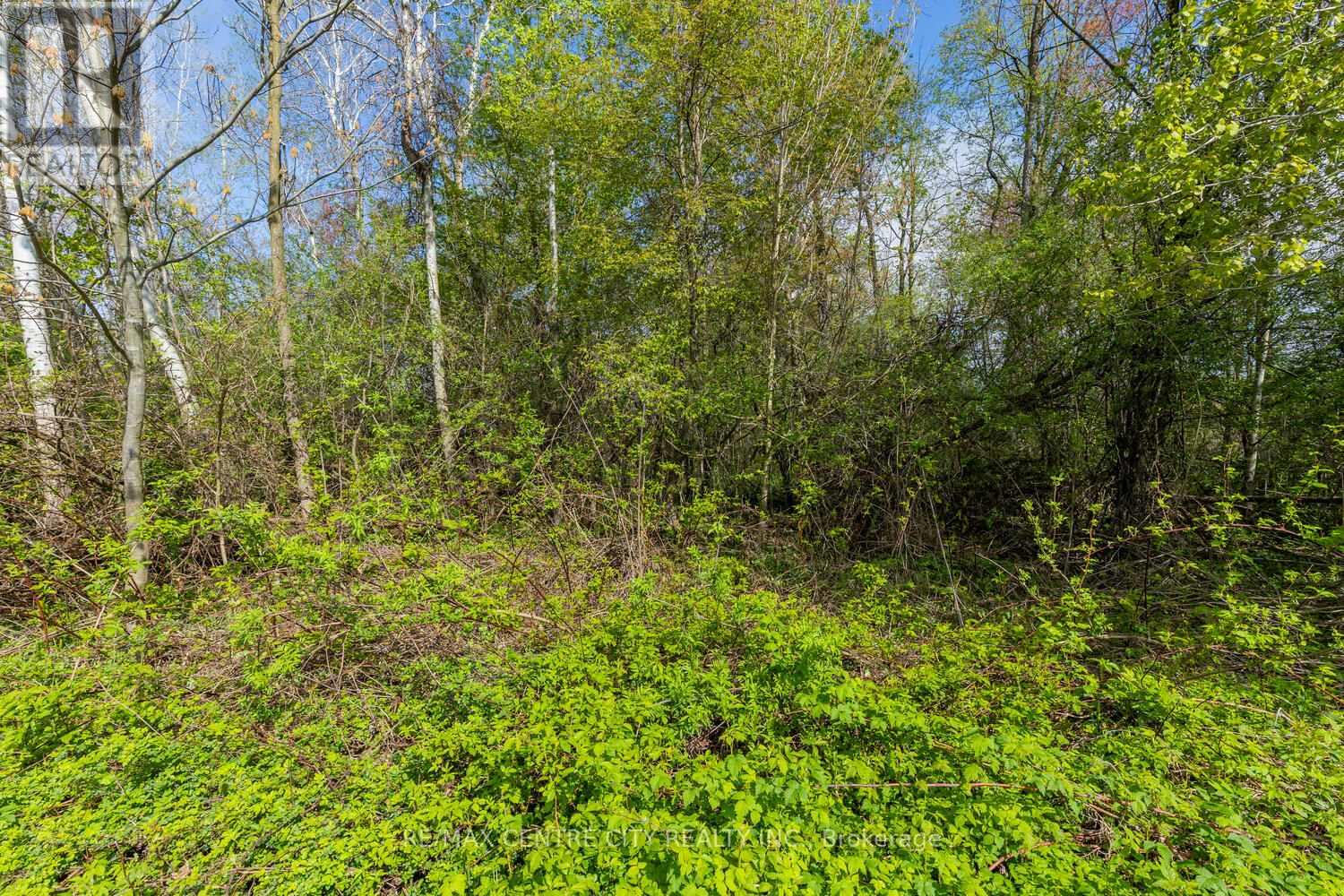 20938 Cherry Hill Road, Thames Centre, Ontario  N0M 2M0 - Photo 14 - X12140840
