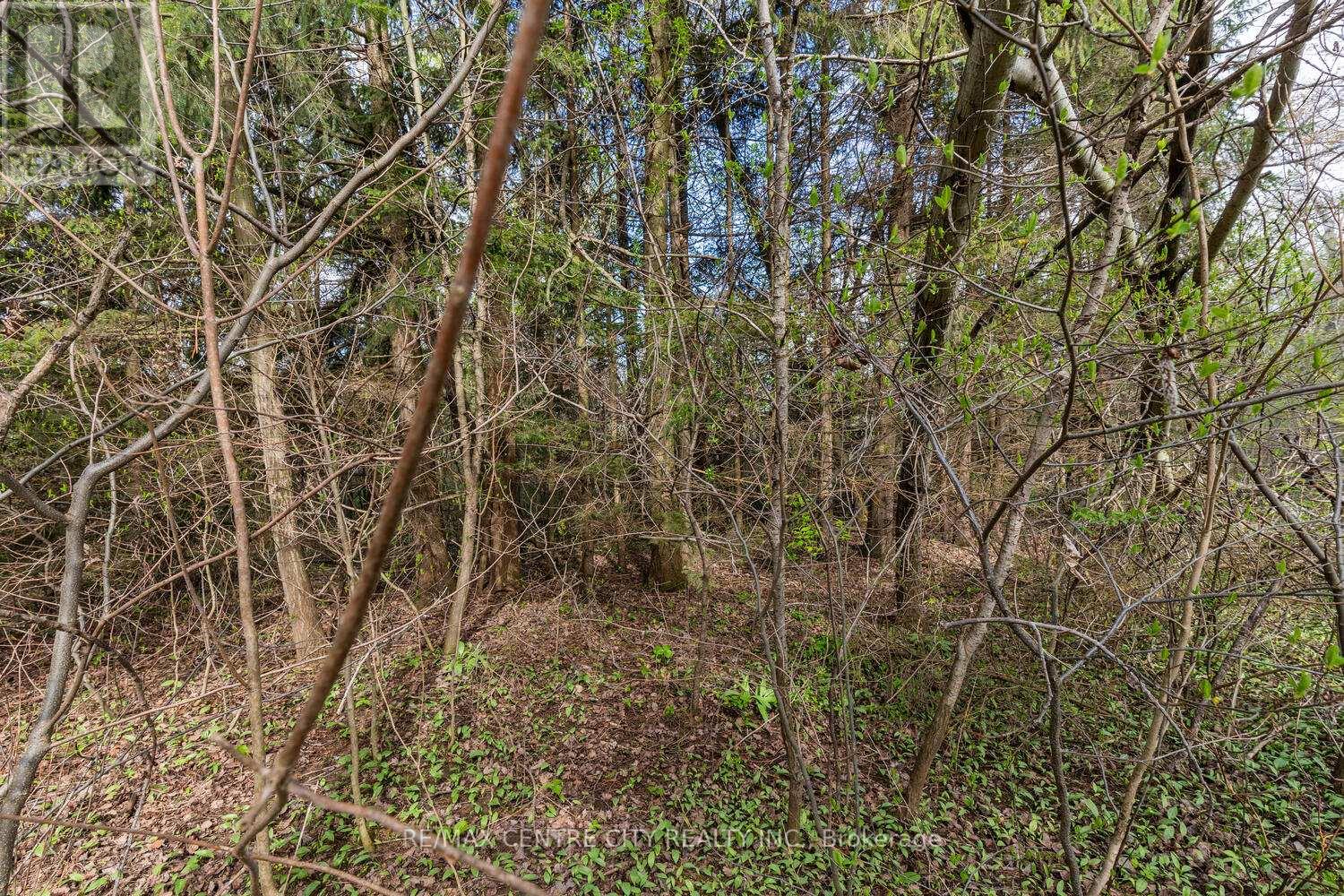 20938 Cherry Hill Road, Thames Centre, Ontario  N0M 2M0 - Photo 15 - X12140840