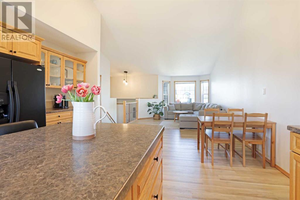 215 Upland Avenue, Brooks, Alberta  T1R 1N1 - Photo 6 - A2217434