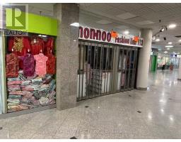 113 - 222 SPADINA AVENUE, Toronto, Ontario