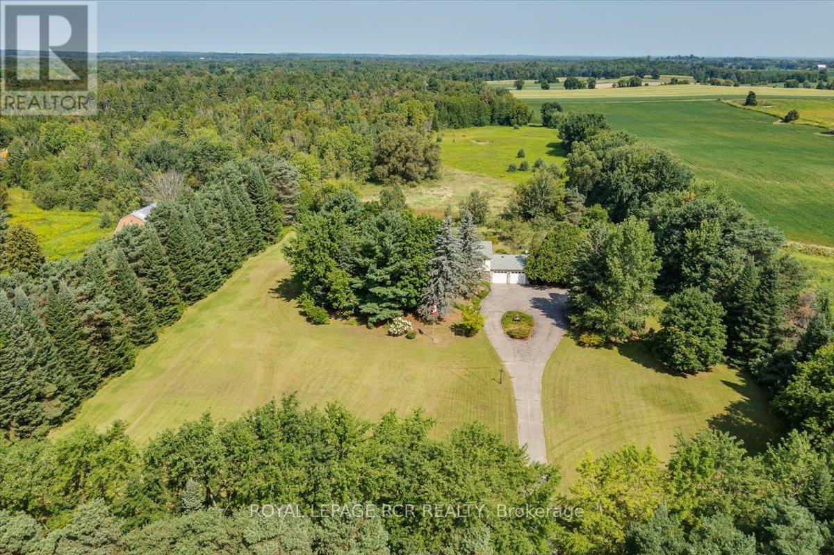 3990 Mount Albert Road, East Gwillimbury, Ontario  L0G 1V0 - Photo 2 - N12140974