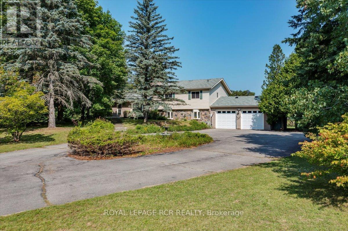 3990 Mount Albert Road, East Gwillimbury, Ontario  L0G 1V0 - Photo 5 - N12140974