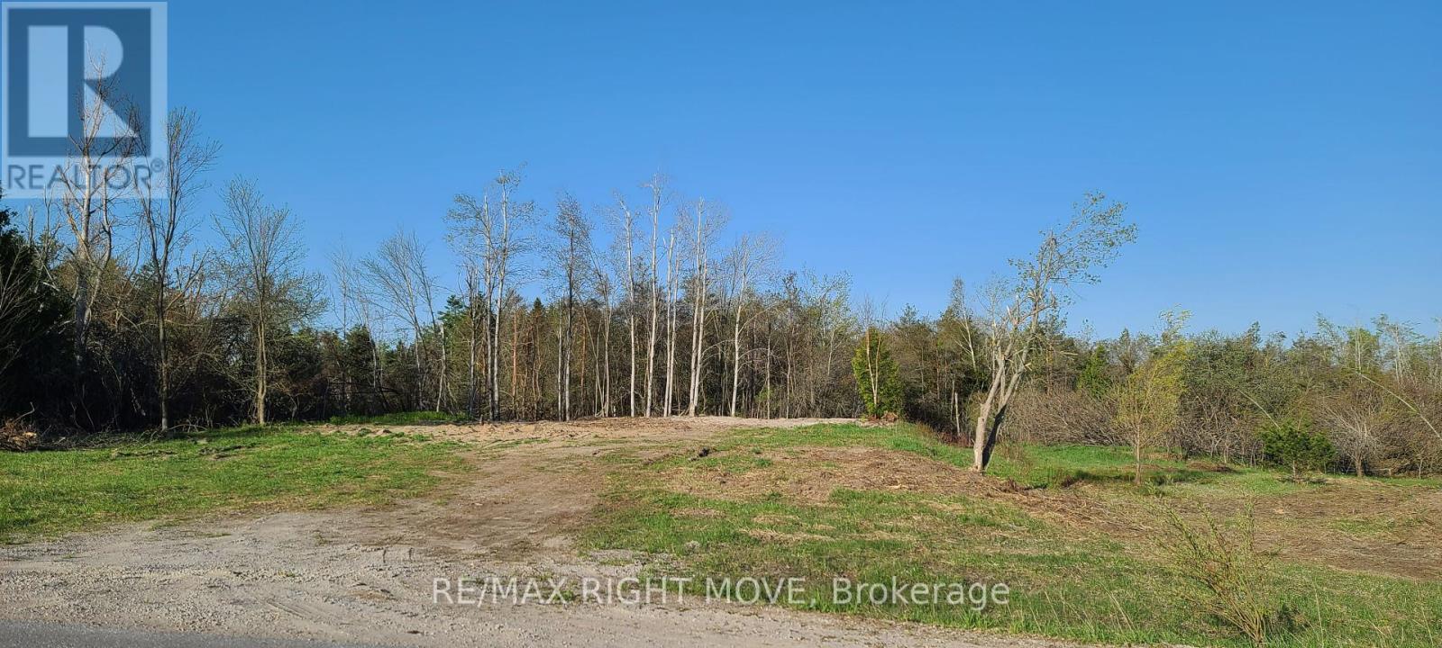 466 Line 2 Line N, Oro-Medonte, Ontario  L0L 2L0 - Photo 4 - S12140960