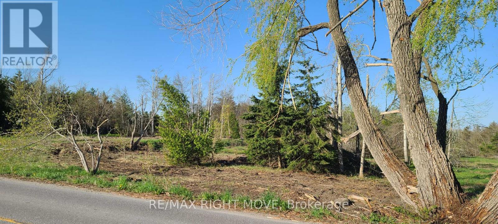 466 Line 2 Line N, Oro-Medonte, Ontario  L0L 2L0 - Photo 5 - S12140960