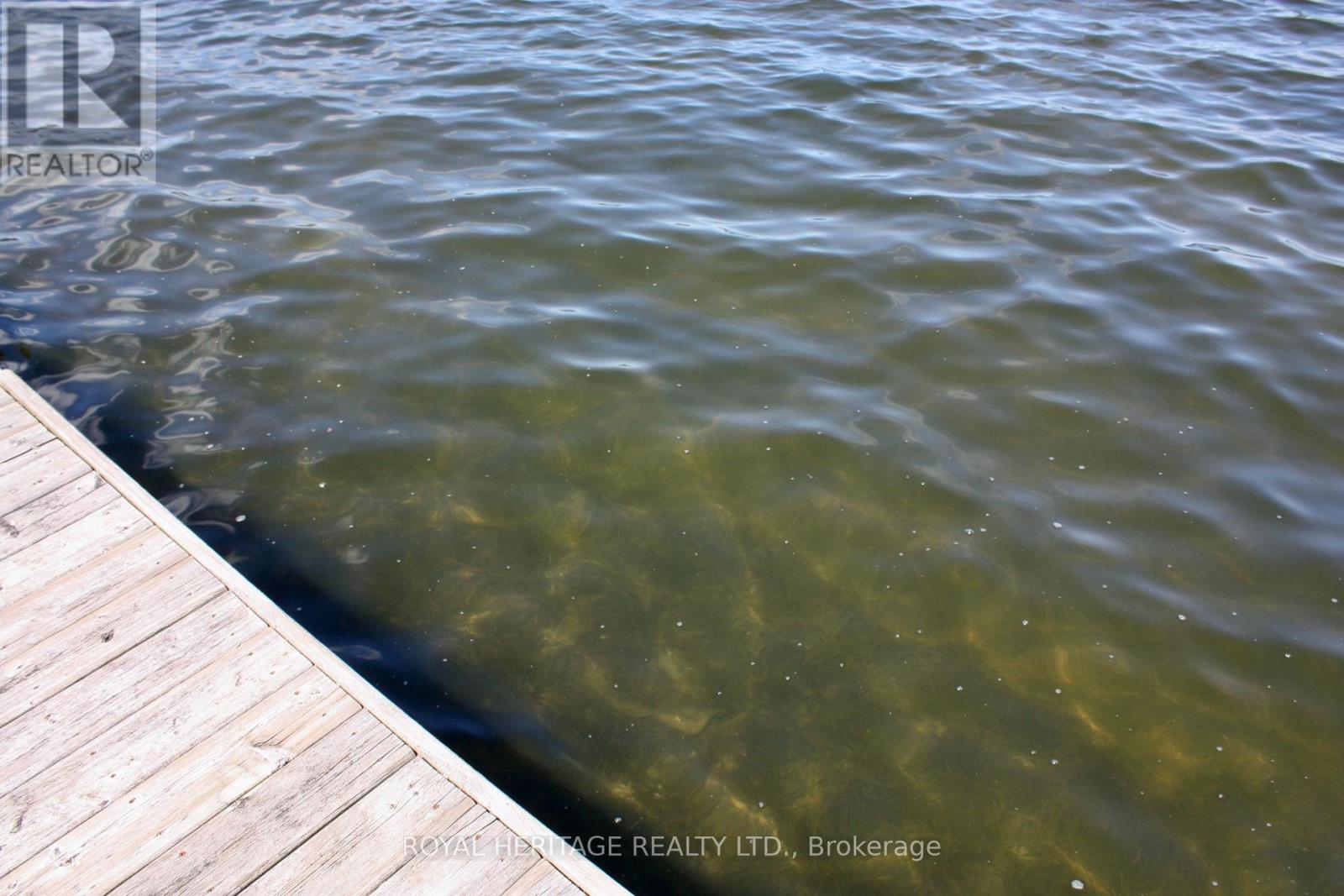 Property at 837 FIFE'S BAY MARINA LANE image 5