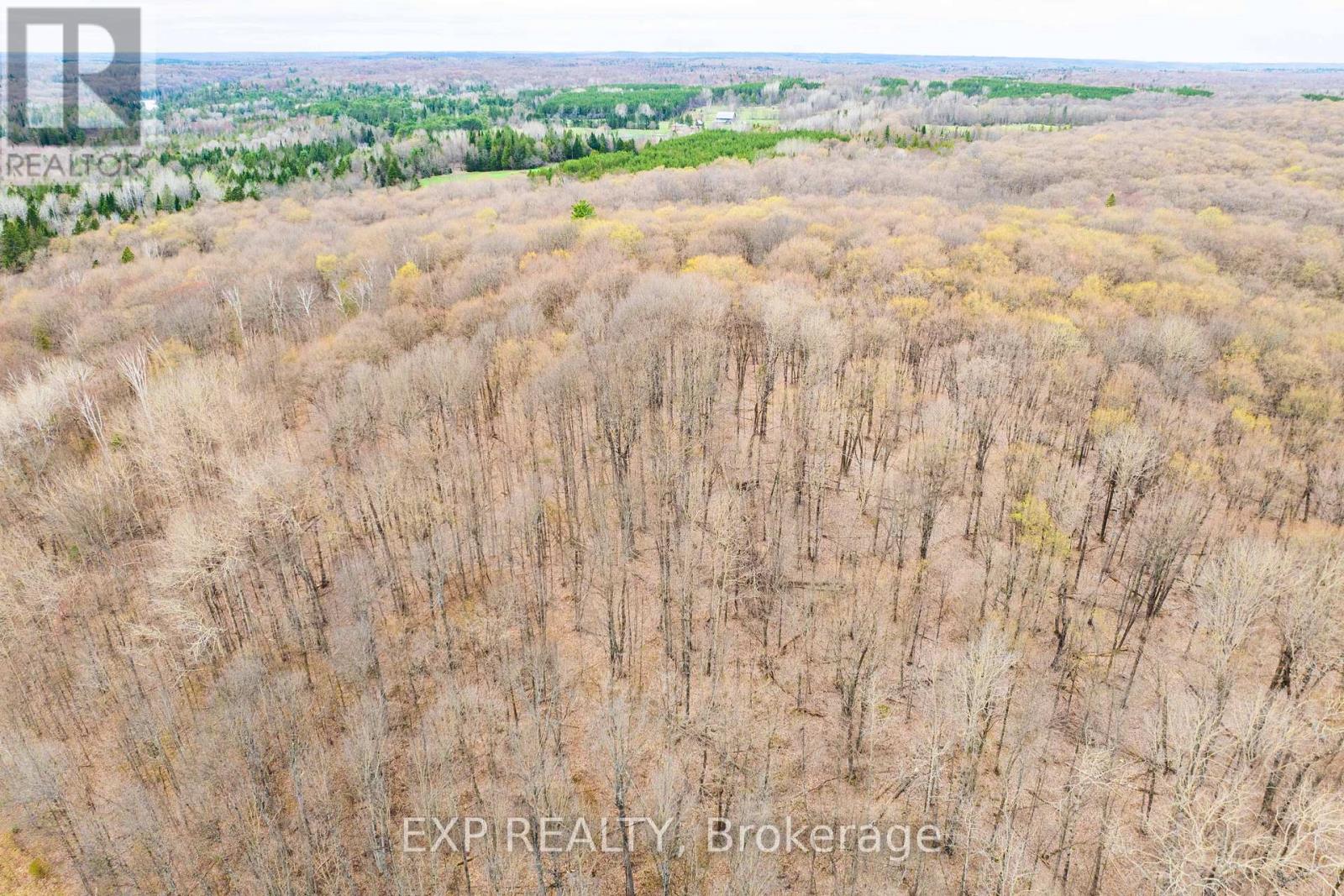 0 Blairhampton Road, Minden Hills (Minden), Ontario  K0M 2K0 - Photo 12 - X12140932