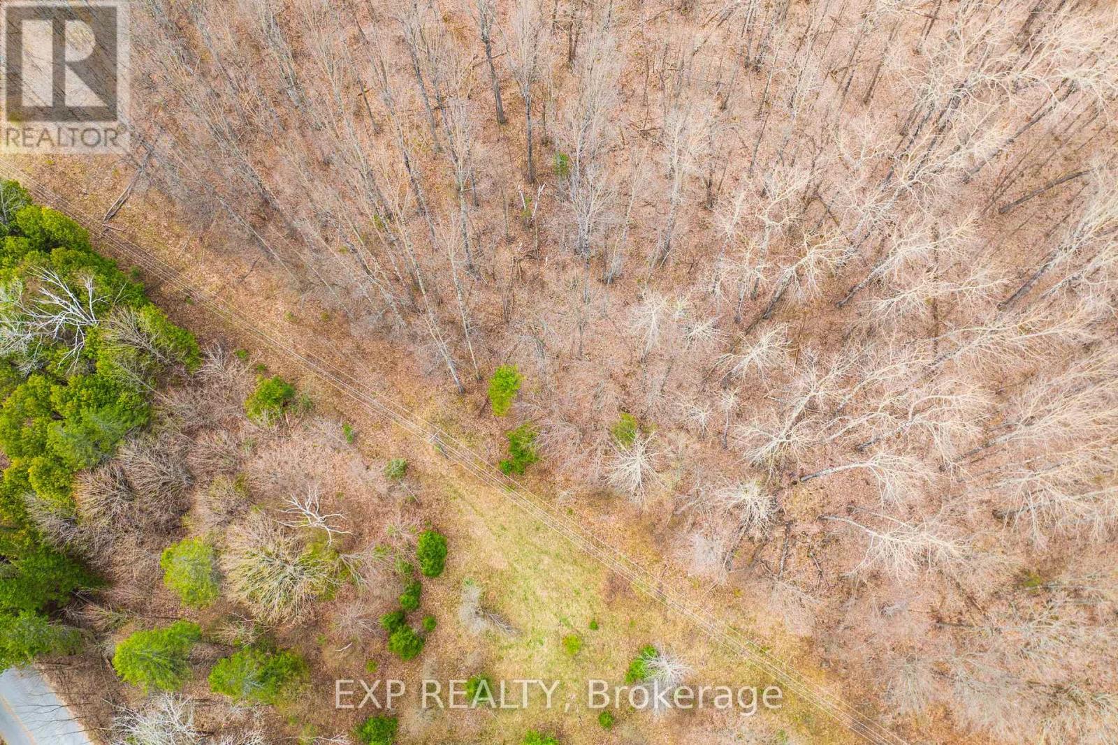 0 Blairhampton Road, Minden Hills (Minden), Ontario  K0M 2K0 - Photo 13 - X12140932