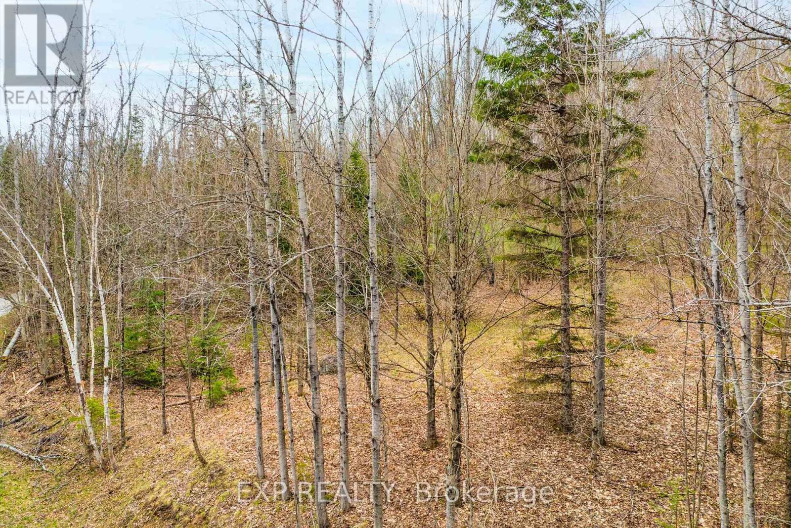 0 Blairhampton Road, Minden Hills (Minden), Ontario  K0M 2K0 - Photo 14 - X12140932