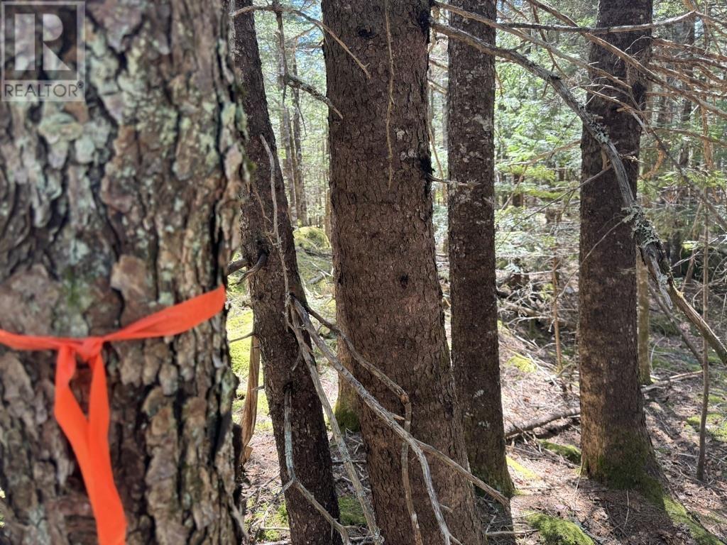 Lot 66 Summit Ridge Road, Windsor, Nova Scotia  B0N 2T0 - Photo 14 - 202410042