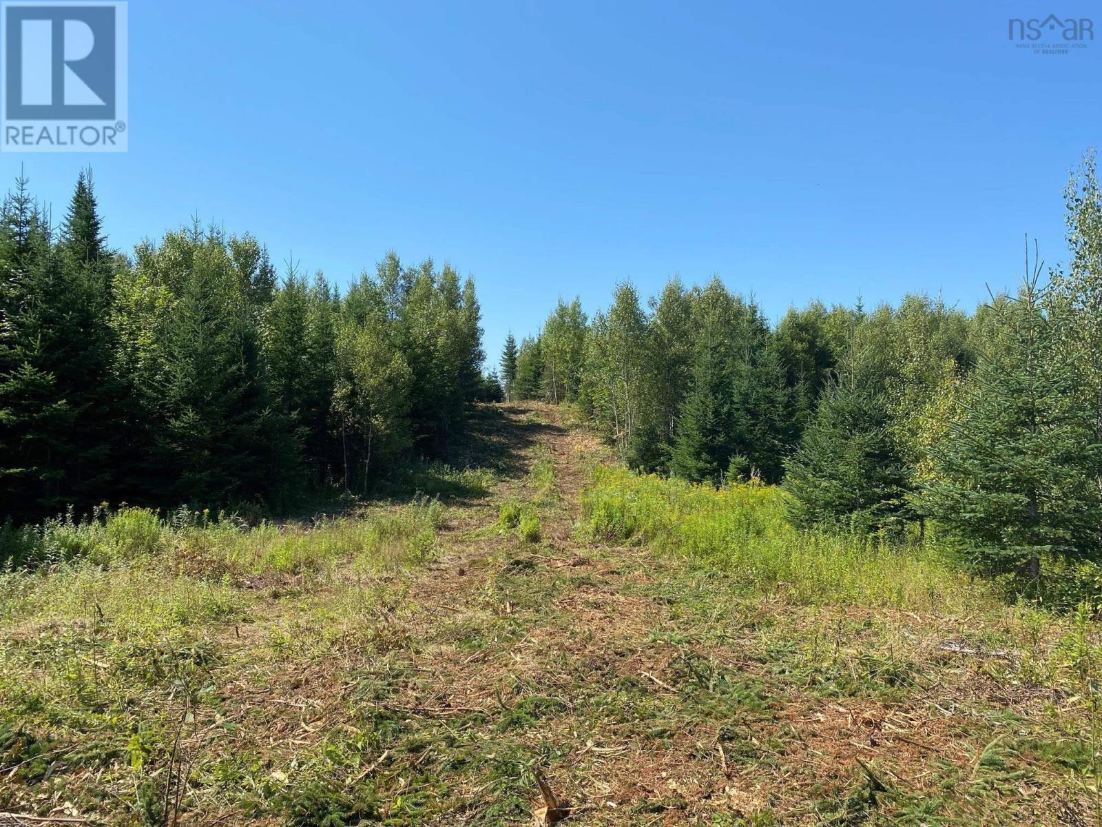 226 Brookville Branch Road, Bridgeville, Nova Scotia  B2H 5C7 - Photo 2 - 202227026