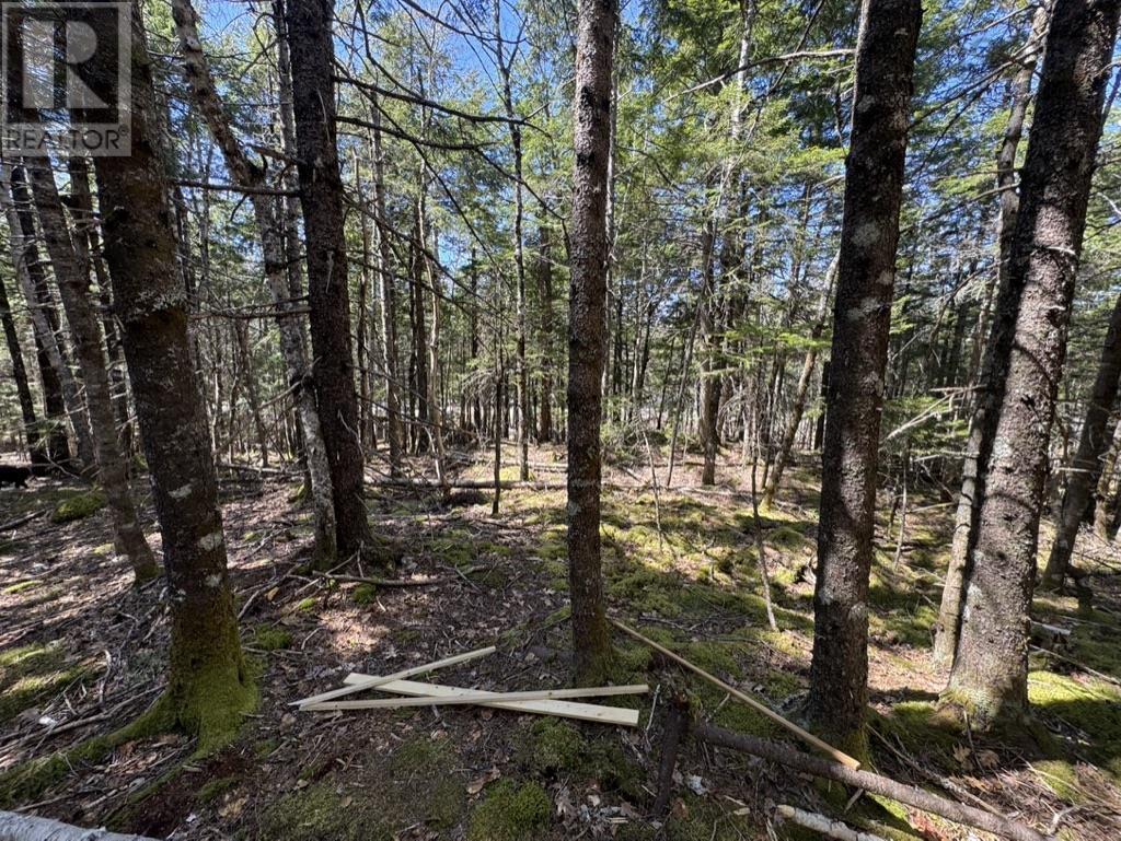 Lot 66 Summit Ridge Road, Windsor, Nova Scotia  B0N 2T0 - Photo 32 - 202410042