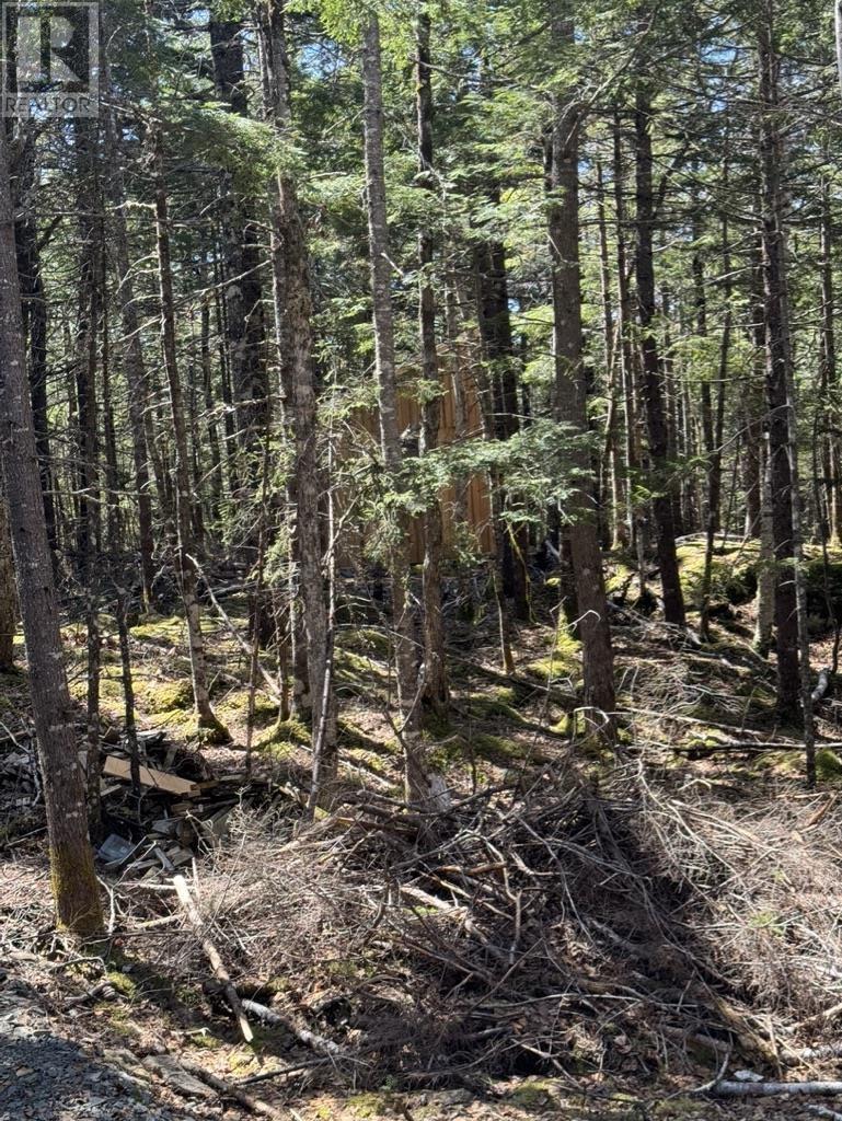 Lot 66 Summit Ridge Road, Windsor, Nova Scotia  B0N 2T0 - Photo 7 - 202410042