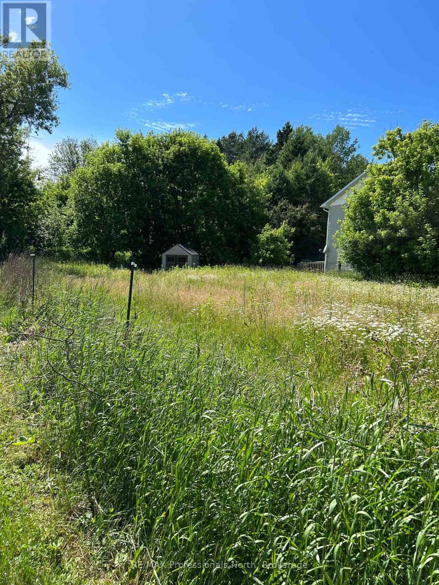 0 Elm Street, Burk's Falls, Ontario  P0A 1C0 - Photo 2 - X12141153