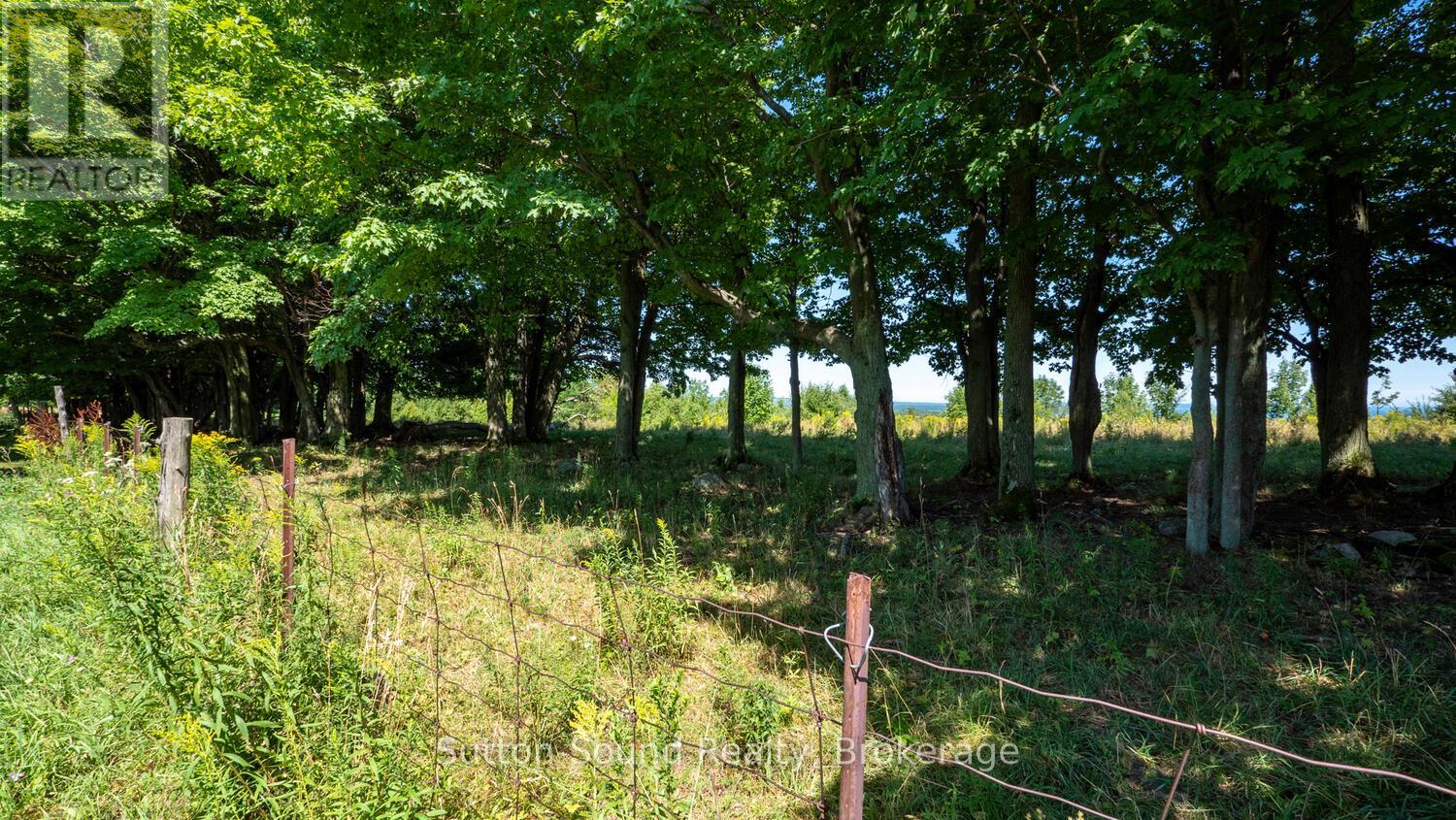 Lt 38 Grahams Hill Road, Georgian Bluffs, Ontario  N0H 2T0 - Photo 38 - X12141160