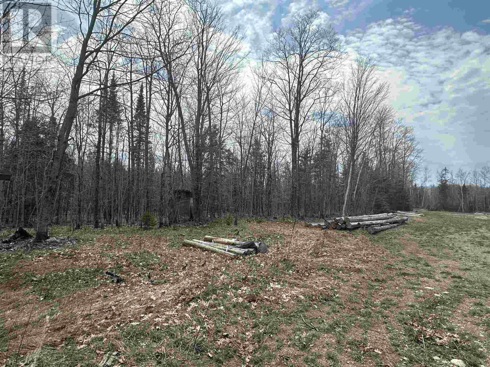 4202 5th Side Rd, Jocelyn Township, Ontario  P0R 1J0 - Photo 20 - SM251069
