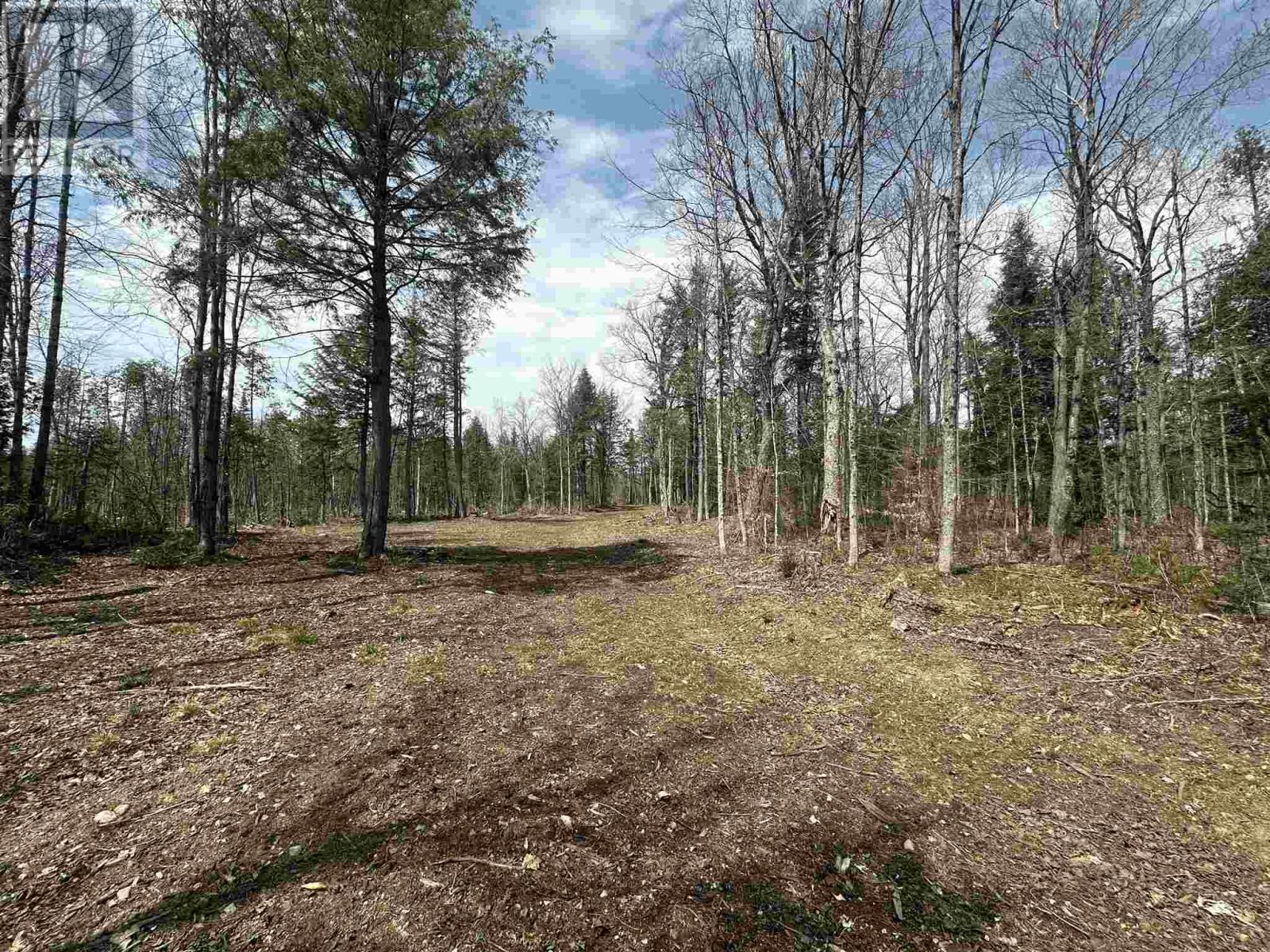 4202 5th Side Rd, Jocelyn Township, Ontario  P0R 1J0 - Photo 26 - SM251069