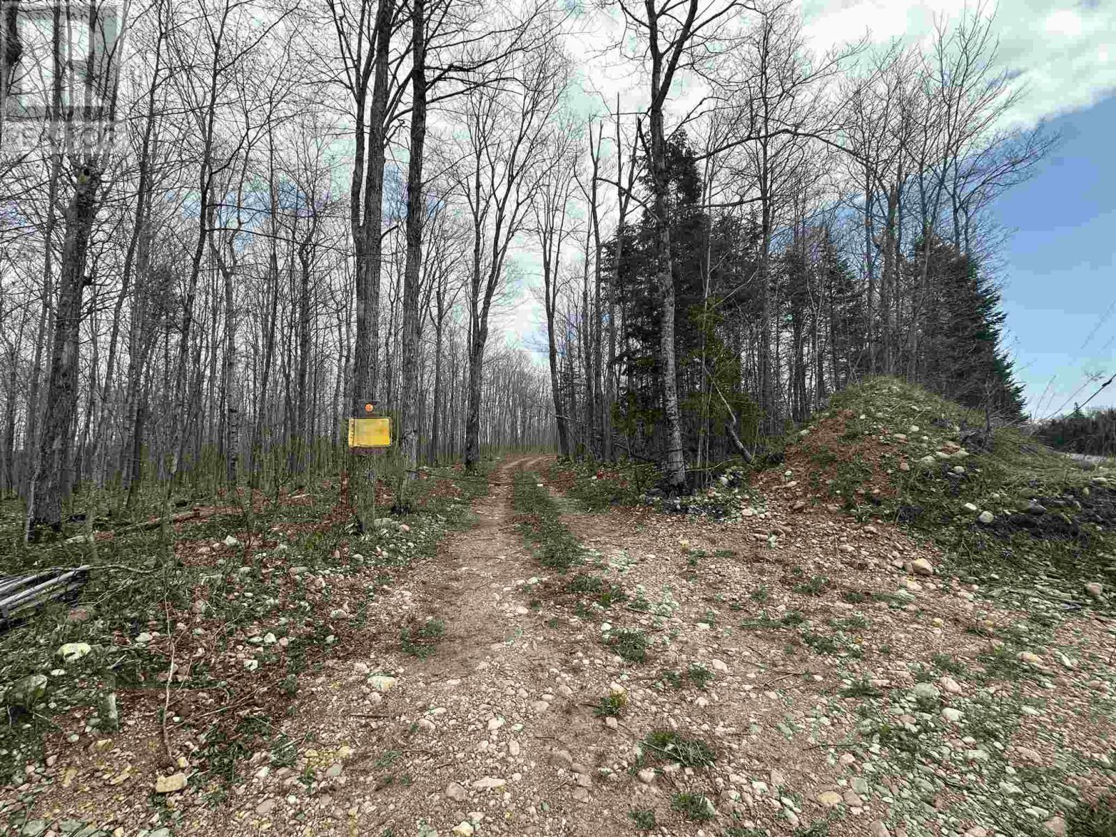 4202 5th Side Rd, Jocelyn Township, Ontario  P0R 1J0 - Photo 31 - SM251069