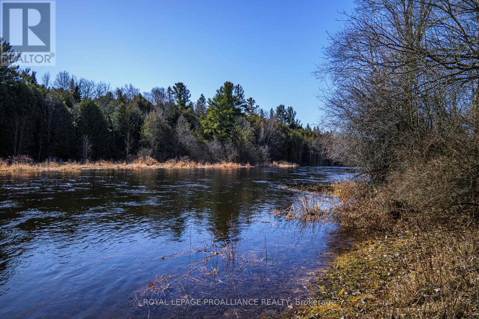808 County Rd 12, Greater Napanee, Ontario  K0K 2W0 - Photo 38 - X12141339