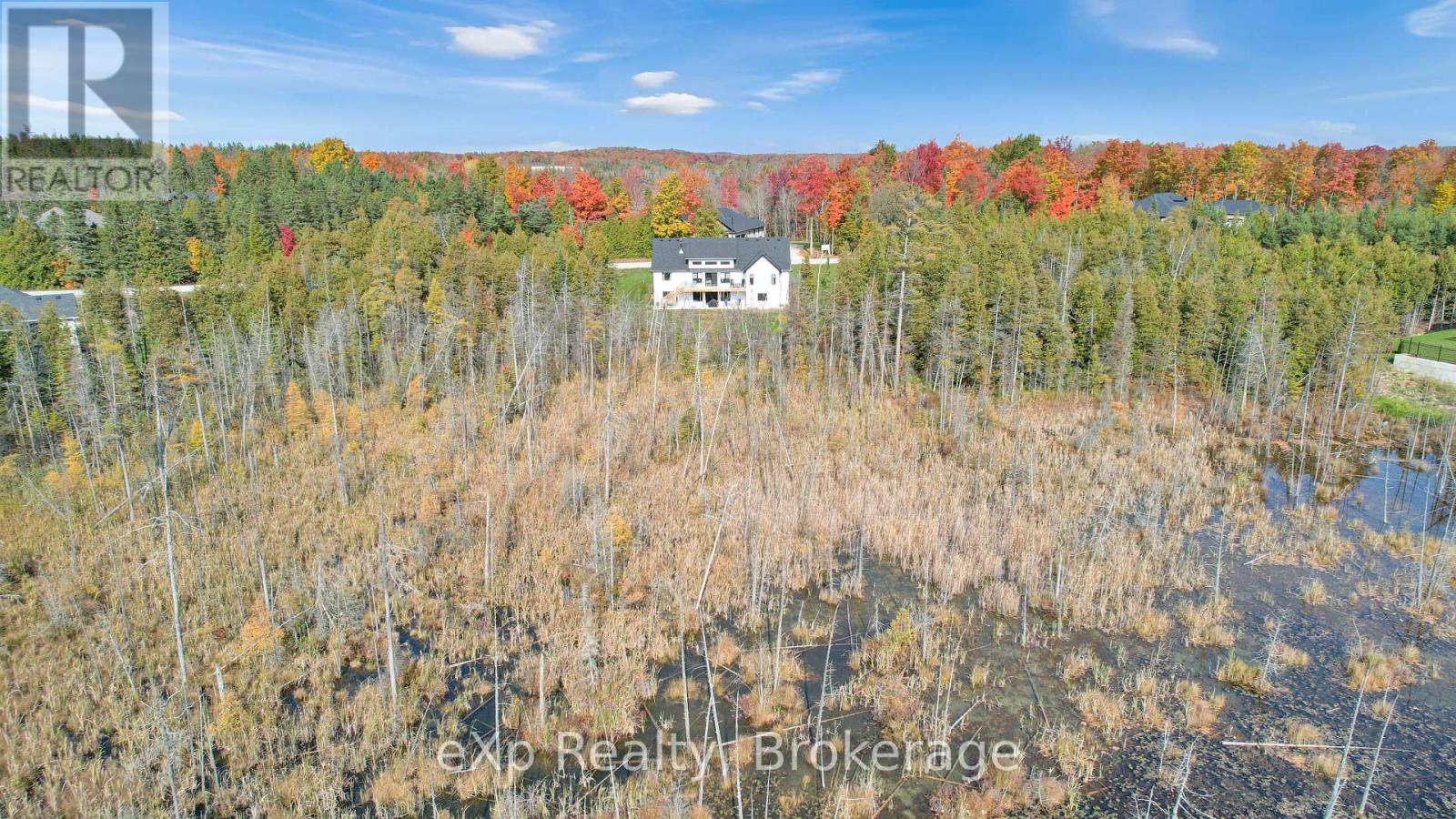130 Louise Creek Crescent, West Grey, Ontario  N0G 1S0 - Photo 46 - X12129045