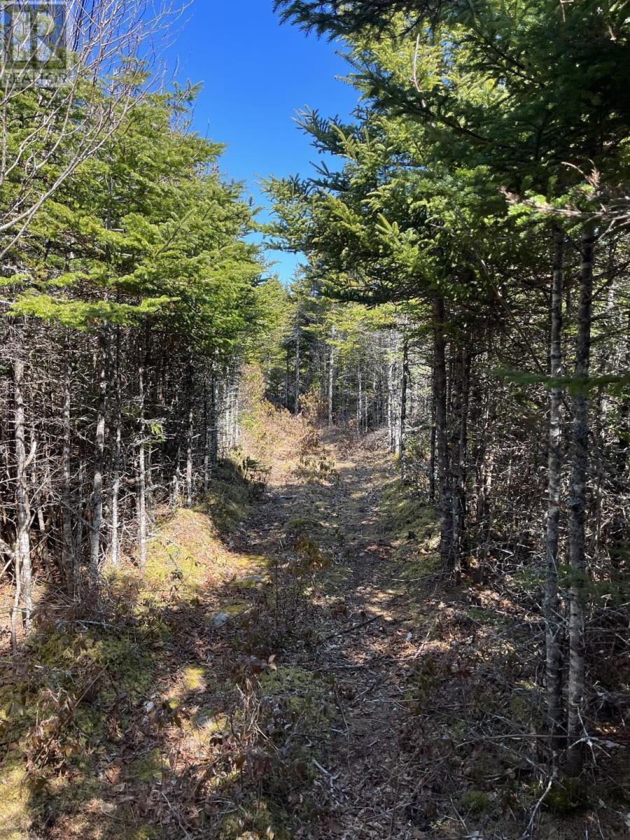 Lot Bald Rock Road, Bald Rock, Nova Scotia  B3V 1K9 - Photo 12 - 202510658