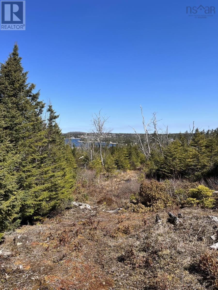 Lot Bald Rock Road, Bald Rock, Nova Scotia  B3V 1K9 - Photo 14 - 202510658