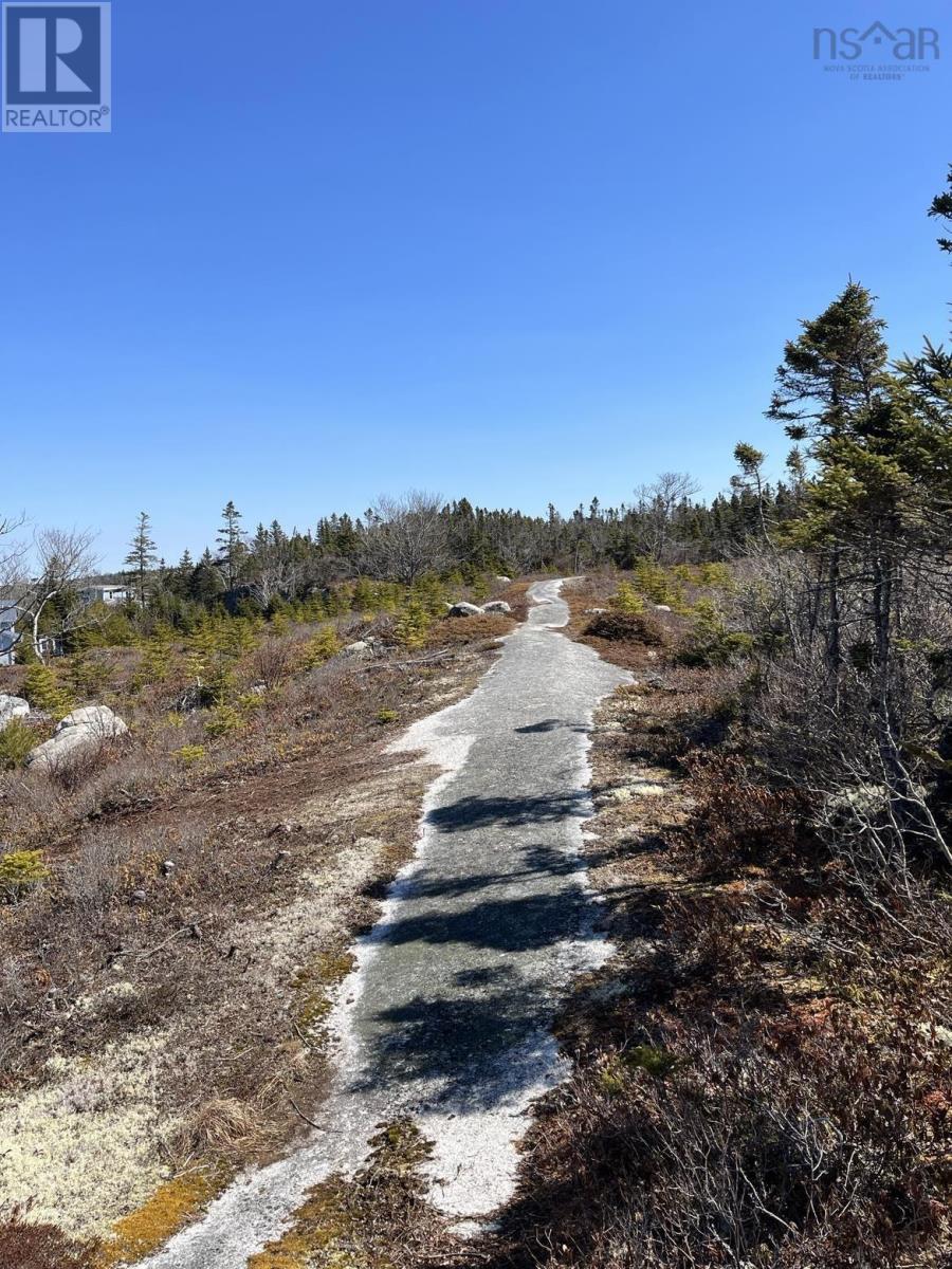 Lot Bald Rock Road, Bald Rock, Nova Scotia  B3V 1K9 - Photo 8 - 202510658