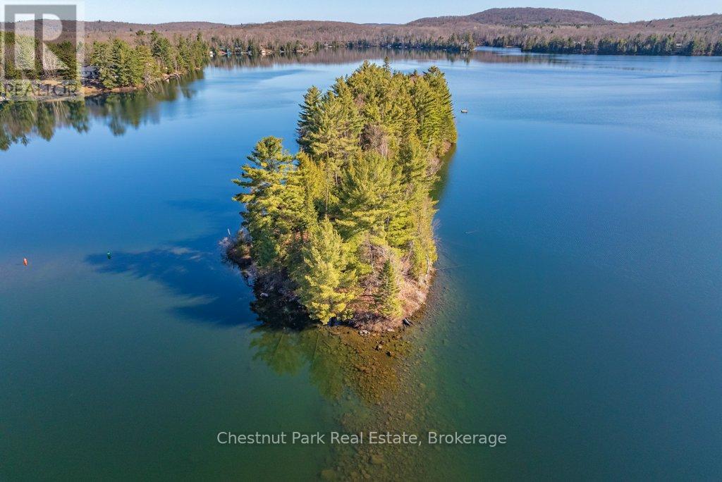 0 Nottaway, Perry, Ontario  P0A 1J0 - Photo 43 - X12141505