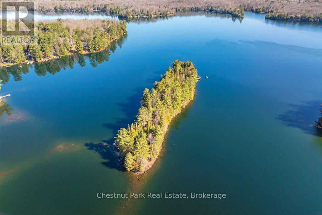 0 Nottaway, Perry, Ontario  P0A 1J0 - Photo 45 - X12141505