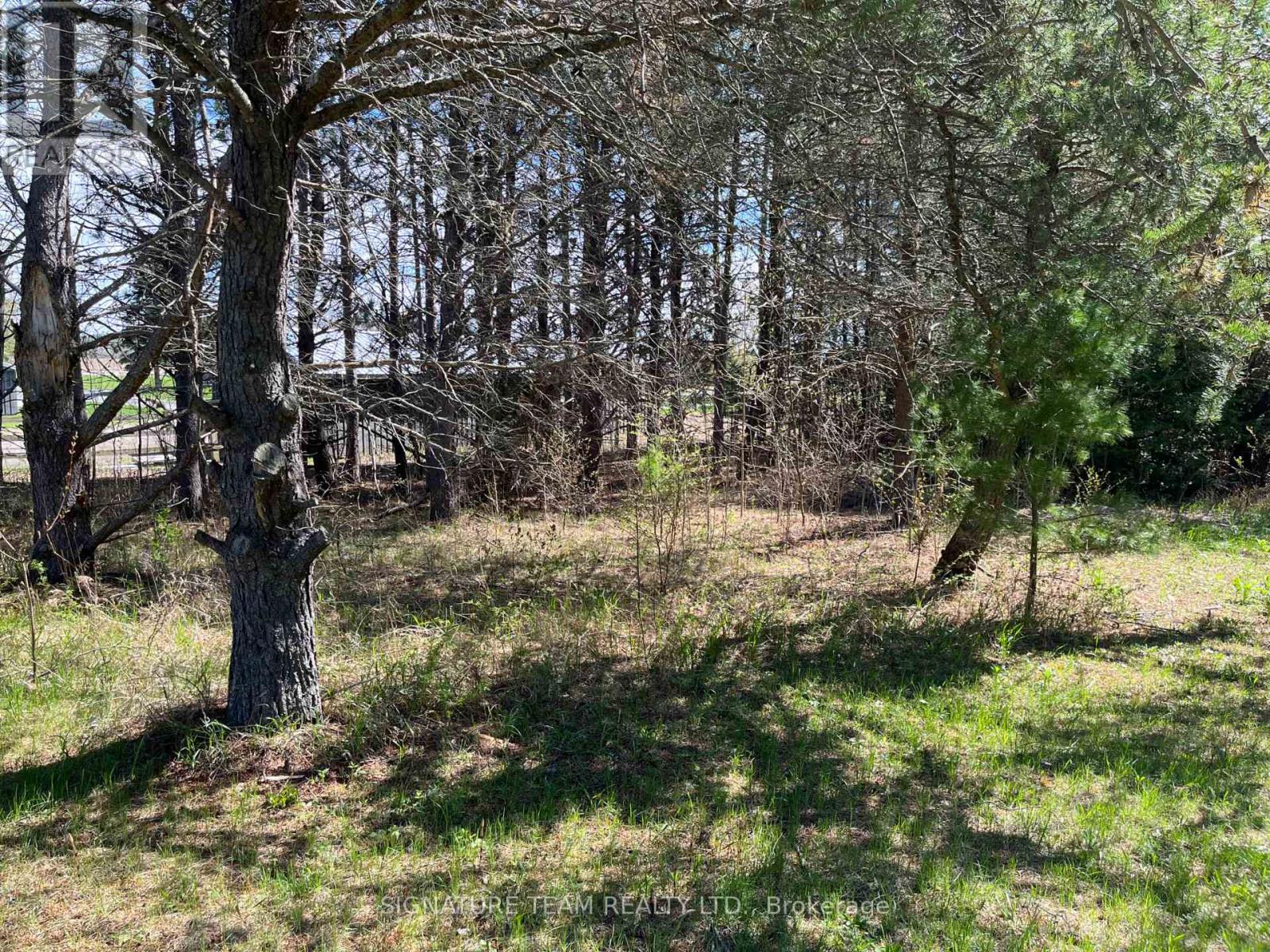 000 Dombroskie Road, Whitewater Region, Ontario  K0J 1Y0 - Photo 11 - X12141421