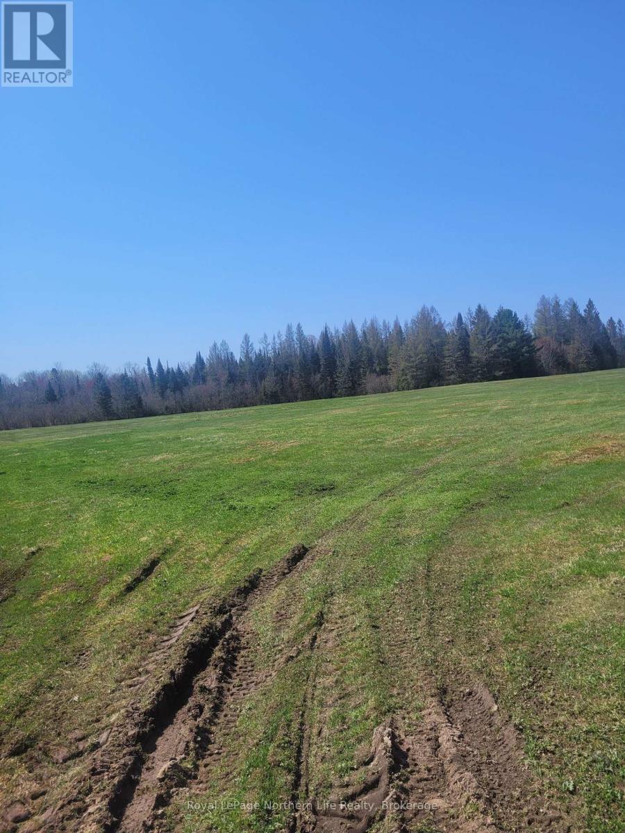 Pt Lot 19 Con 13, Papineau-Cameron, Ontario  P0H 1V0 - Photo 10 - X12141724