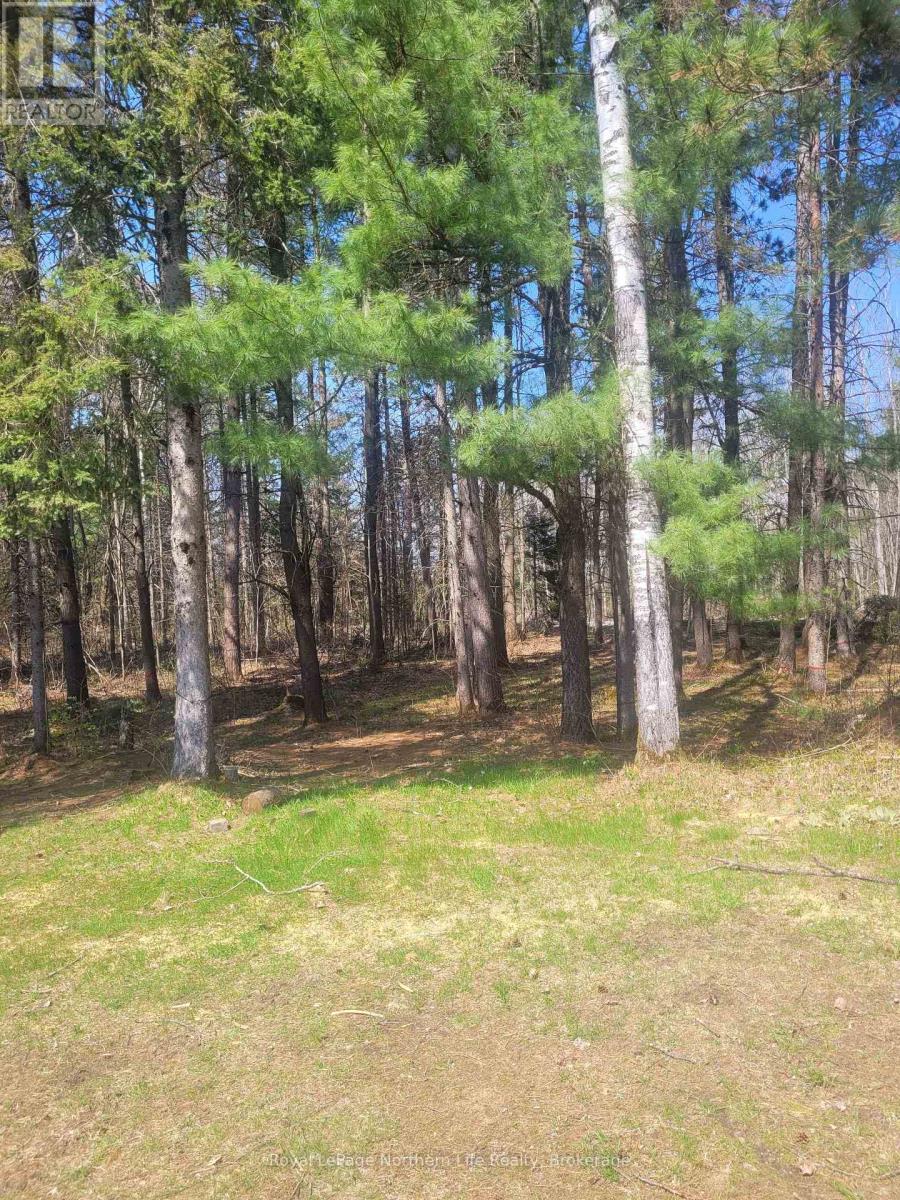 Pt Lot 19 Con 13, Papineau-Cameron, Ontario  P0H 1V0 - Photo 6 - X12141724