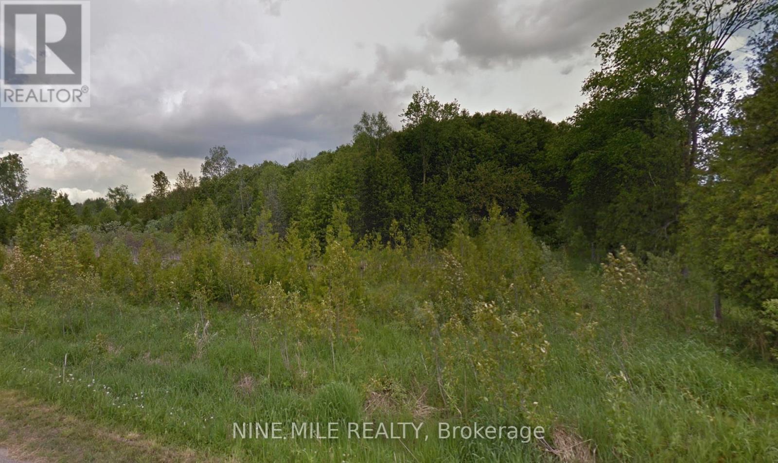 531 13 Line N, Oro-Medonte, Ontario  L0L 1T0 - Photo 5 - S12141552