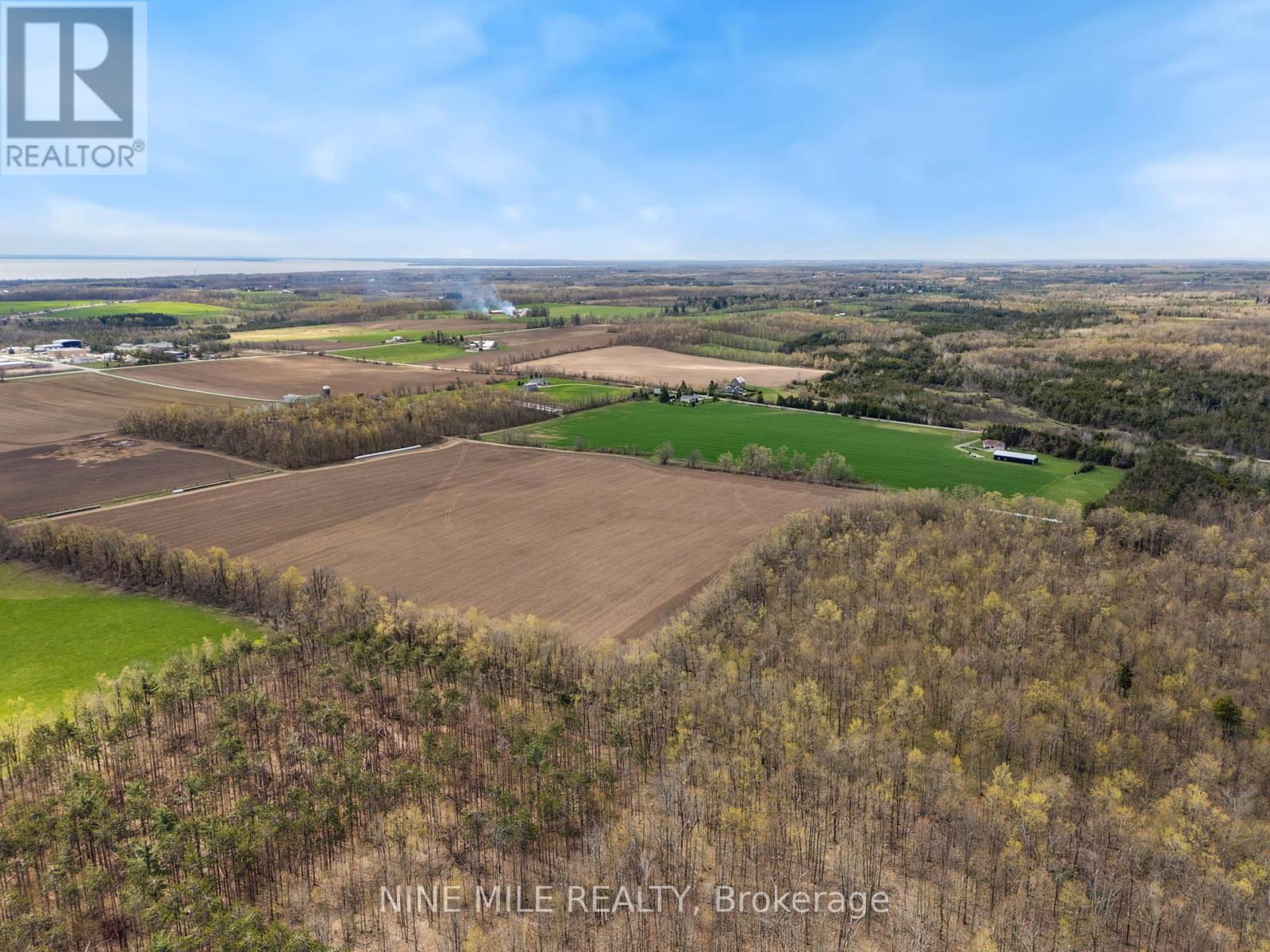 531 13 Line N, Oro-Medonte, Ontario  L0L 1T0 - Photo 6 - S12141552