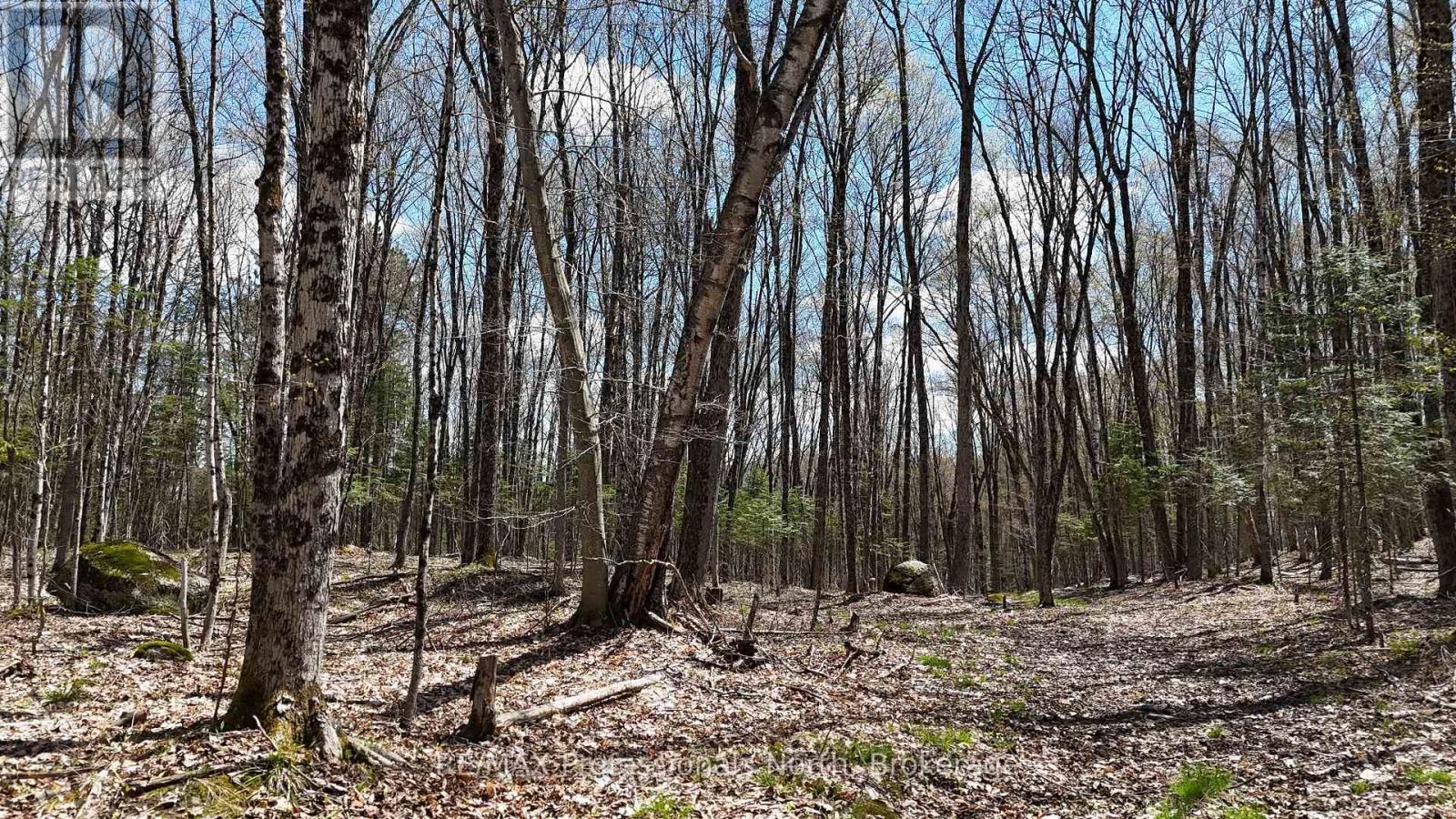 0 Osprey Road, Minden Hills, Ontario  K0M 2K0 - Photo 16 - X12141625